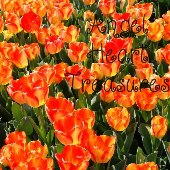 Original Photography 5x7 Field of Fiery Orange & Yellow Tulips in Spring - Picture 2 of 2